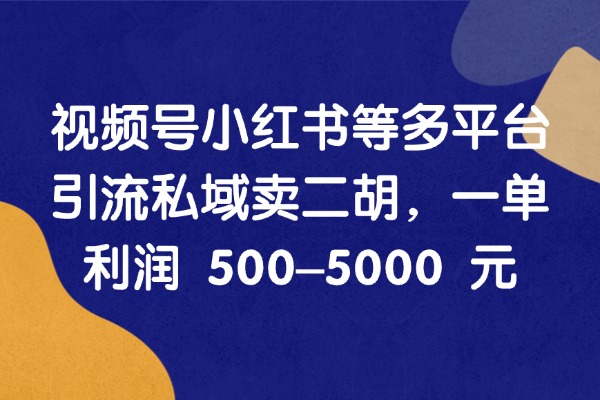 抓住银发经济，视频号小红书等多平台引流私域卖二胡，一单利润 500–5000 元